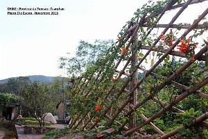 016 - Tuanshan